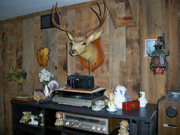 Taxidermy, fake flora and fuzzy stuffed animals. BYOB.