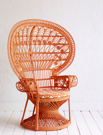 Classic peacock chair via The Family Love Tree