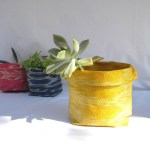 abaca planters